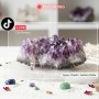 TikTok Live Claim Payment
